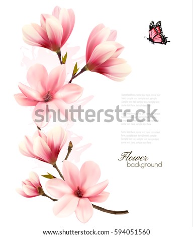 Beautiful pink magnolia background. Vector.