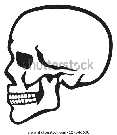 Skull Profile Stock Images, Royalty-Free Images & Vectors | Shutterstock