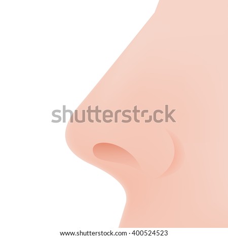 stock vector nose icon in flat design on white background 400524523 An Analysis Of Critical Criteria In mail order asian brides prices