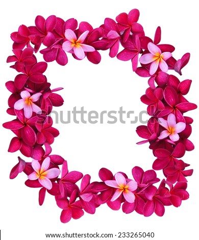 Lei Stock Photos, Royalty-Free Images & Vectors - Shutterstock