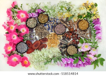 selection thesis sister flowers selection thesis sister flowers