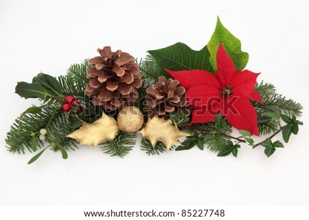 Glitter Pine Cones Stock Photos, Images, & Pictures | Shutterstock