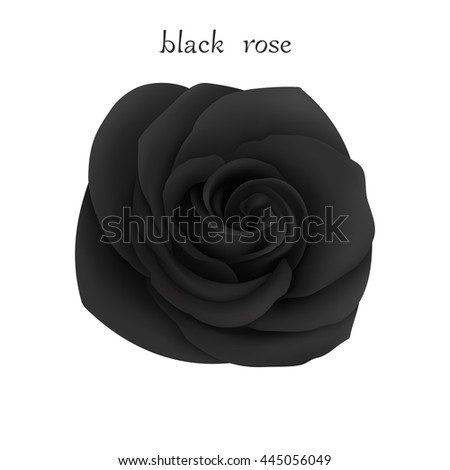 Isolated Flower On A White Background Mesh Gradient Was Used EPS Isolated Flower On A White Background Mesh Gradient Was Used EPS