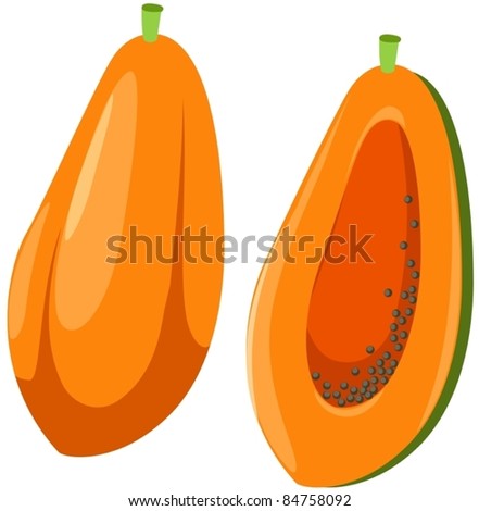 illustration of isolated papaya on white background