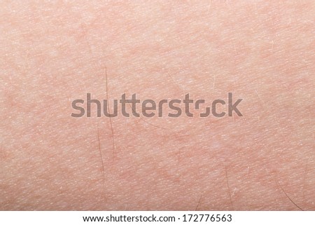 background of the human skin macro stock photo 156617564 human skin texture stock photos royalty free images vectors background of the human skin macro stock photo 156617564 human skin texture stock photos royalty free images vectors