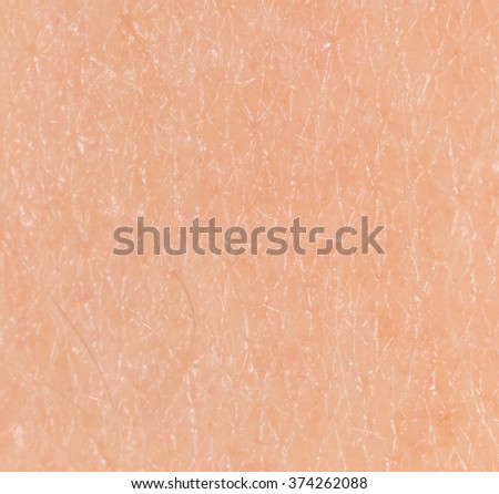 human skin background macro stock photo 366722105 macro eczema on arm stock photo 59193790 human skin background macro stock photo 366722105 macro eczema on arm stock photo 59193790