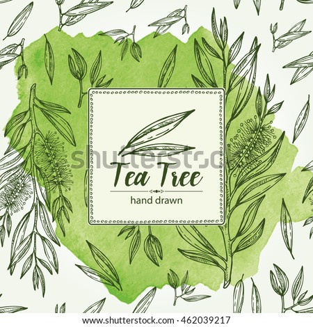 Herbal harvest tea tree