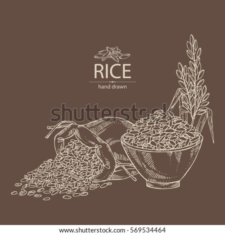 Background with rice, bag of rice and plate with rice. hand drawn