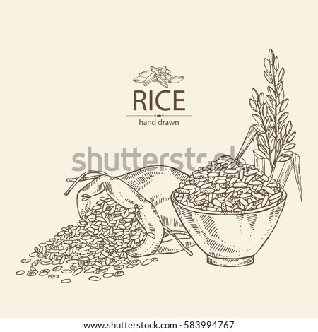 Background with bag of rice and plate with rice. hand drawn.