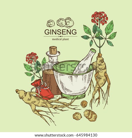 Background with ginseng: ginseng root, plant, bottle, tincture, mortar and pestle. Medical plant. hand drawn