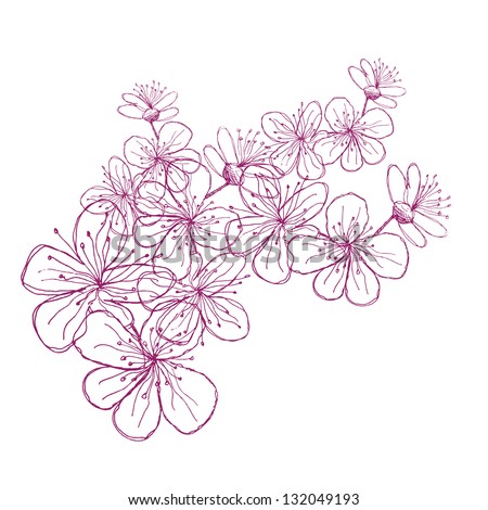 Hand Drawn Cherry Blossoms. EPS 8 vector, grouped for easy editing. No open shapes or paths.