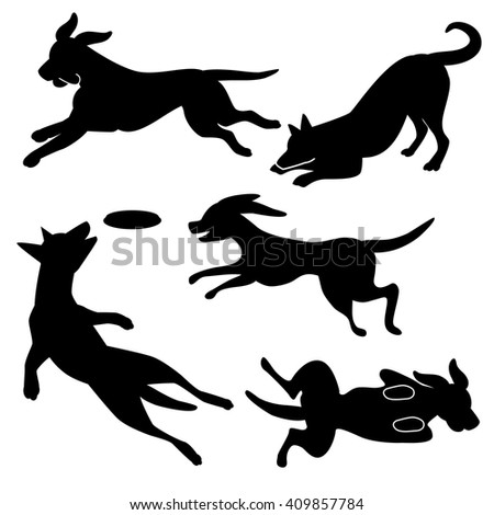 Dog Pose Stock Images, Royalty-Free Images & Vectors | Shutterstock