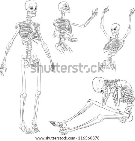 Dancing Skeleton Stock Images Royalty Free Images 