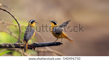 bee branch chat sites Contact your local main office for all your personal business and international banking needs. bee branch chat sites Contact your local main office for all your personal business and international banking needs.