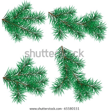 Branch Christmas Tree fir tree branch stock images, royalty-free images & vectors Branch Christmas Tree fir tree branch stock images, royalty-free images & vectors