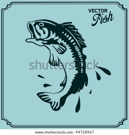 Salmon Jumping Stock Photos, Royalty-Free Images & Vectors - Shutterstock