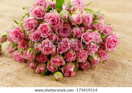 Set of Roses on sackcloth textured - stock photo