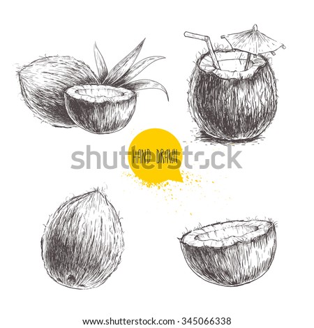 Hand drawn coconut set. Cocktail isolated on white background. Sketch vector tropical food illustration.