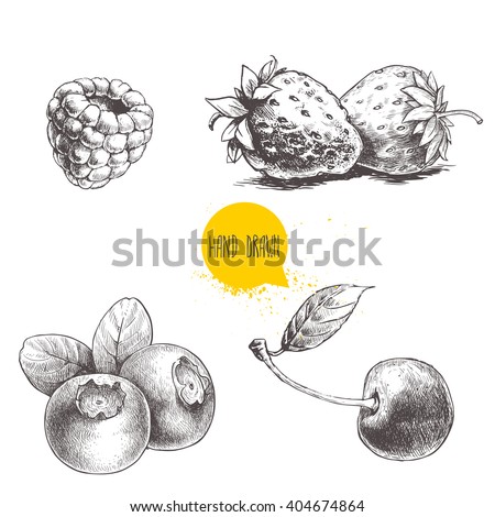 Hand drawn sketch style berries set isolated on white background. Raspberry, strawberry, cherry and blueberry. Healthy fruit vector illustration.