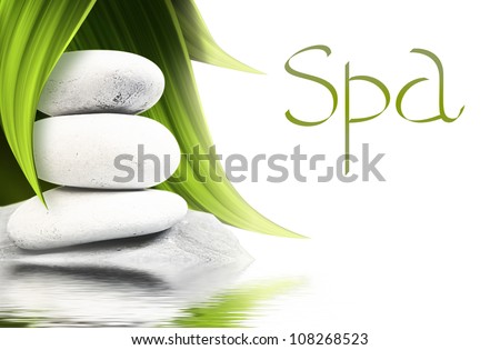 green grass and of white stones on water surface