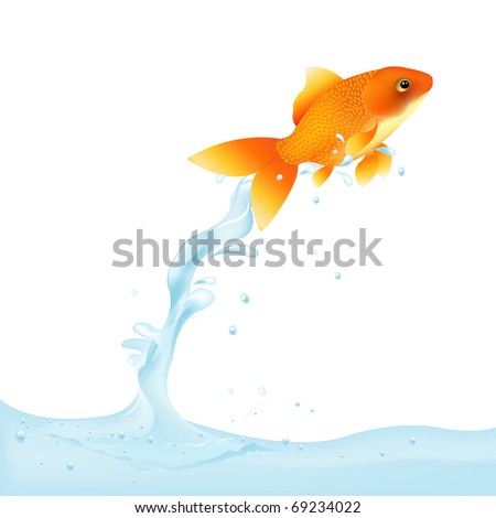 Goldfish Leaping Out Of Water, Vector Illustration