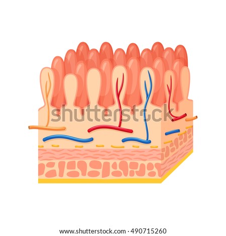 Villi Stock Images, Royalty-Free Images & Vectors | Shutterstock