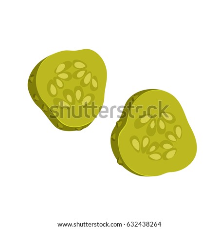 Pickled cucumber slices. Menu or a recipe illustration. Fresh and tasty food or cooking ingredient isolated on white background. 