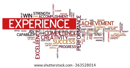 other word for experience