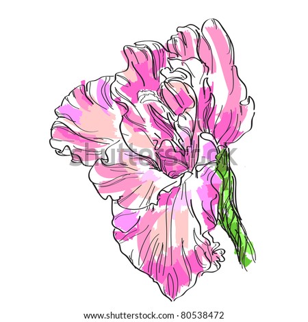 Flower Bouquet Stock Illustration 125558873 - Shutterstock