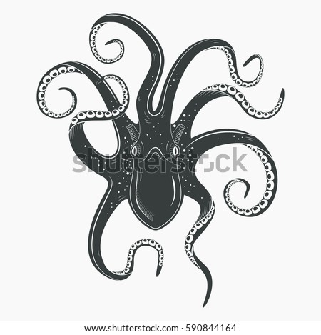 Spineless Stock Images, Royalty-Free Images & Vectors | Shutterstock