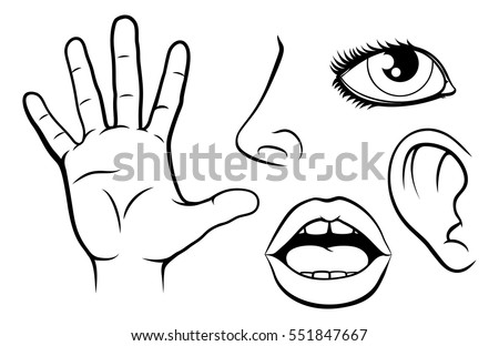 Sensory Organs Stock Images, Royalty-Free Images & Vectors | Shutterstock