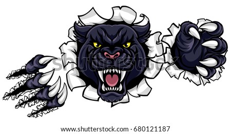 A black panther angry animal sports mascot breaking through the background with its claws