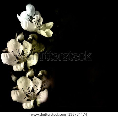 Invitation card with abstract white flowers on black background