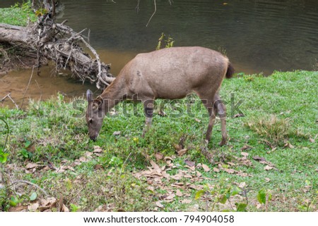 Bisexual 1st timer Deer lick park dam