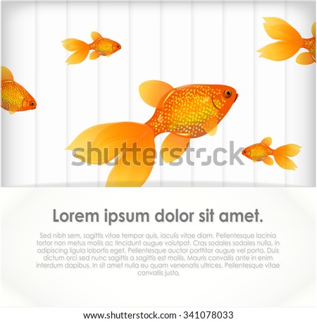 Goldfish on grey background