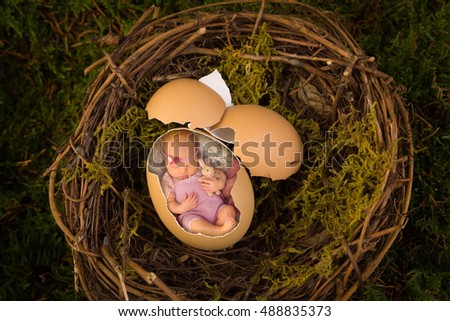 Adorable newborn baby sleeping in a broken egg in a nest. Also available without the baby as a digital backdrop for your own baby.