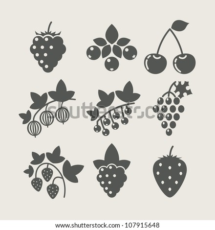 set of berry food icon vector illustration