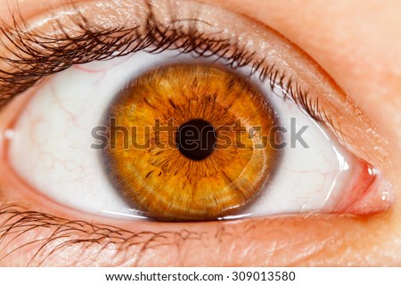 Eyeball Stock Photos, Images, & Pictures | Shutterstock