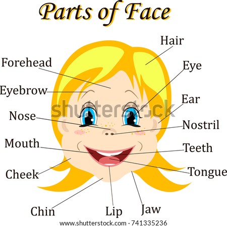 Cartoon Child Girl Vocabulary Face Parts Stock Vector 741335236