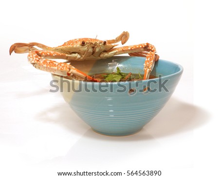 Braised fish maw in red gravy abalone mushroom with crab meat, The presentation of the more interesting and difference on with steamed crab was placed on top, White background have little nice shadow.