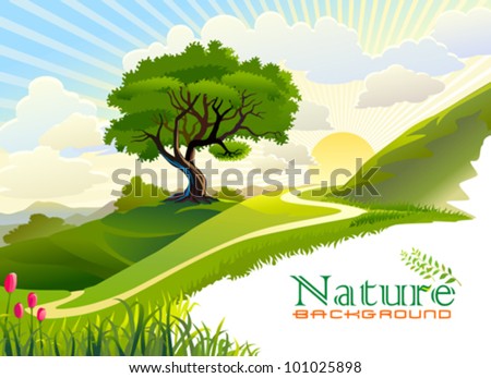 Sunrise in the hills and lonely tree