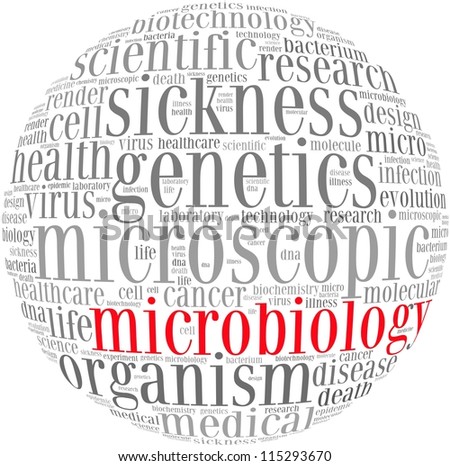 Microbiology Science Infotext Graphics Arrangement Concept Stock ...