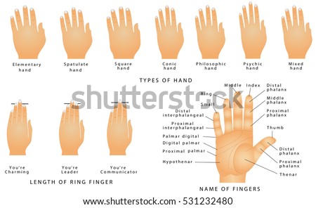 Palmistry Stock Images, Royalty-Free Images 