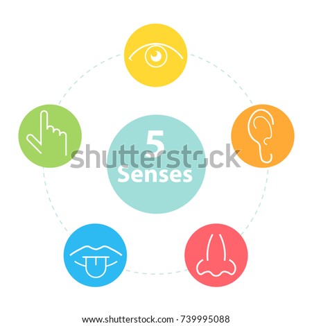 Five Senses Stock Images, Royalty-free Images & Vectors 