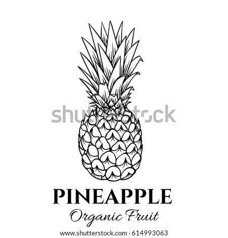 Hand drawn pineapple icon. Vector badge fruit in the old ink style for brochures, banner, restaurant menu and market