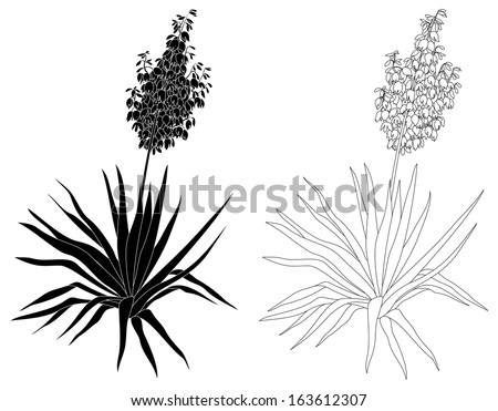 Image Result For House Plant Display Image Result For House Plant Display