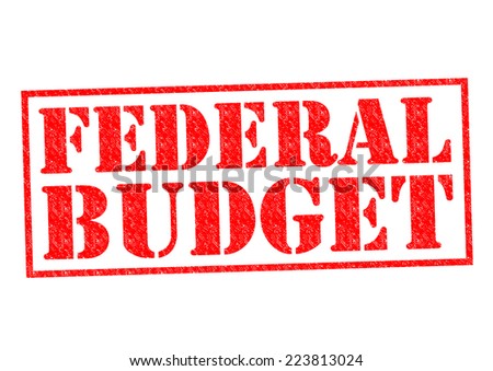 Stock options federal budget