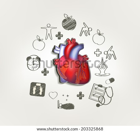 Healthy Heart Stock Images, Royalty-Free Images & Vectors | Shutterstock