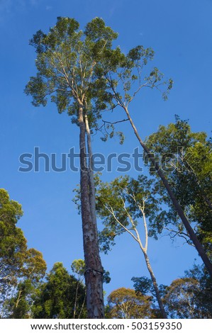 Buttet's Portfolio on Shutterstock