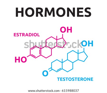 Hormones and testosterone